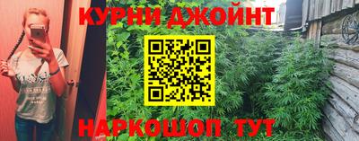 трава Кингисепп