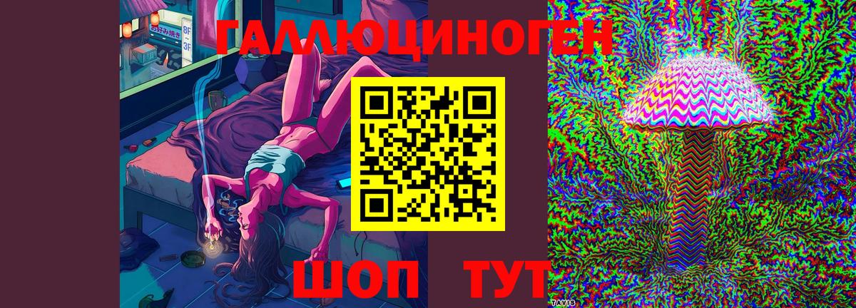 Дальнегорск  Псилоцибиновые грибы MAGIC MUSHROOMS  Вход с VPN 