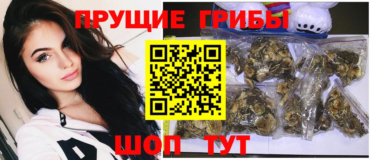 Псилоцибиновые грибы MAGIC MUSHROOMS Дальнегорск